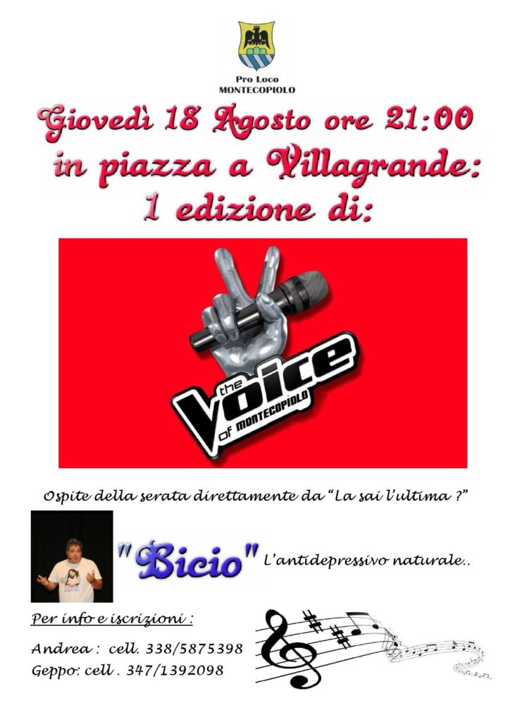 the voice